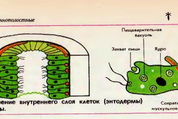 2krn at официальный