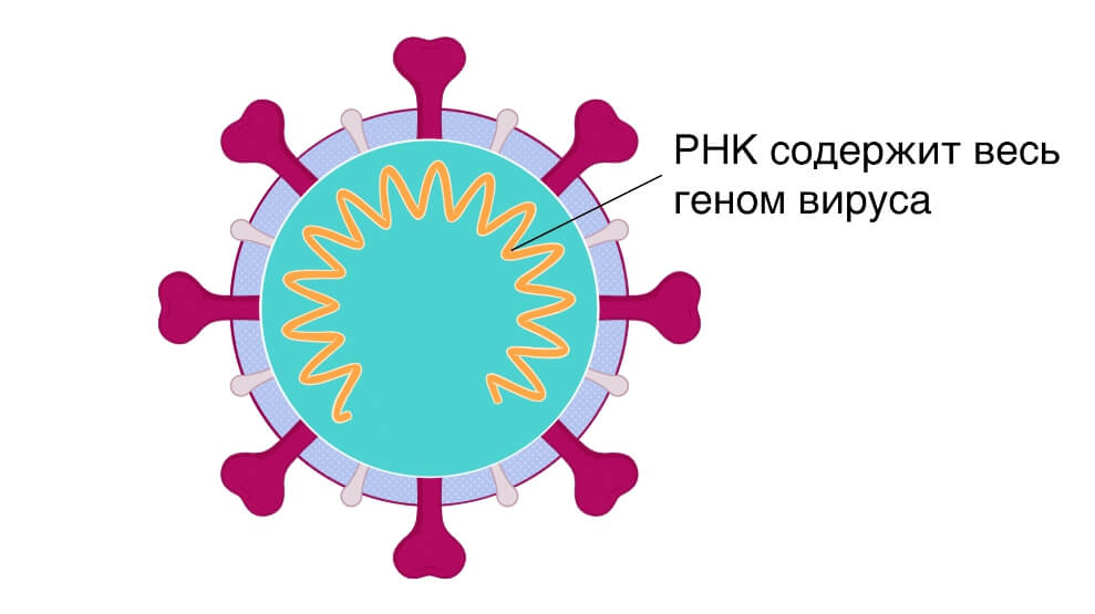 Кракен площадка kr2web in