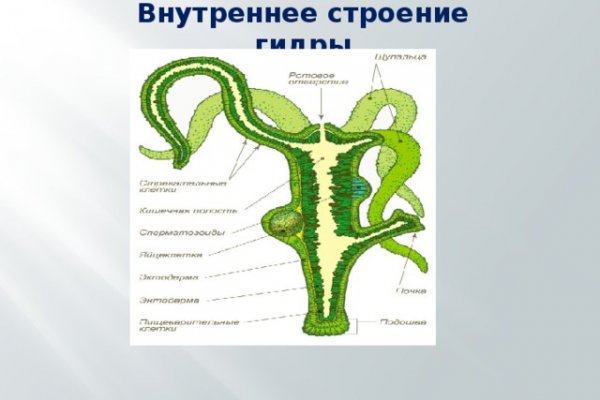 Кракен ссылка на сайт com