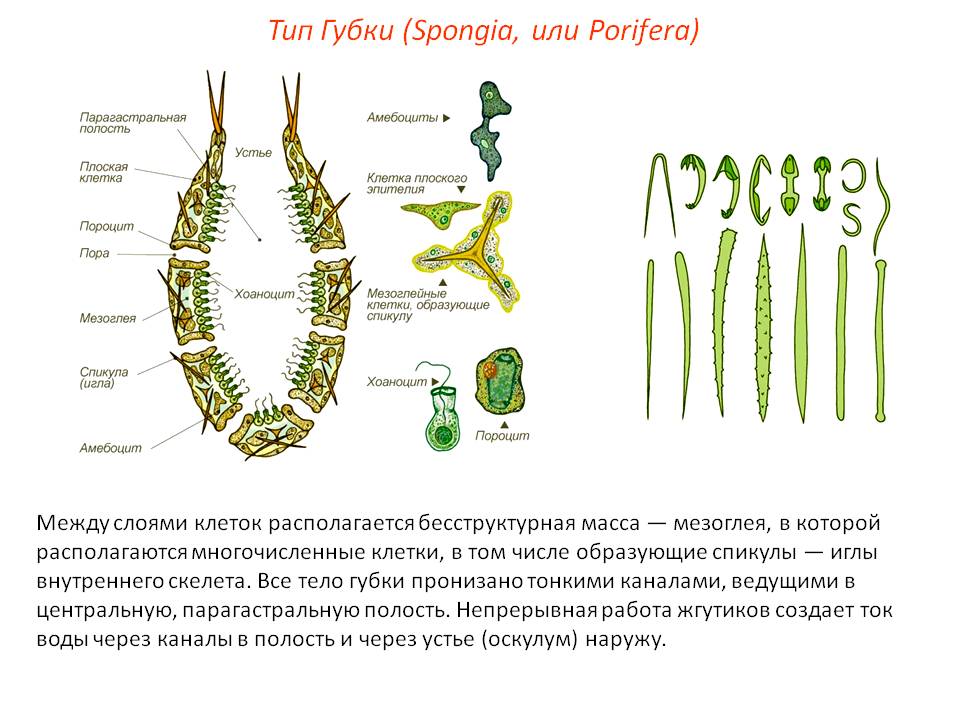 Кракен сбой