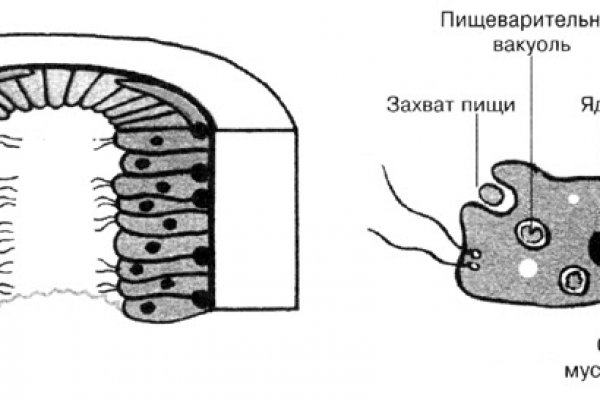 Кракен актуальная ссылка